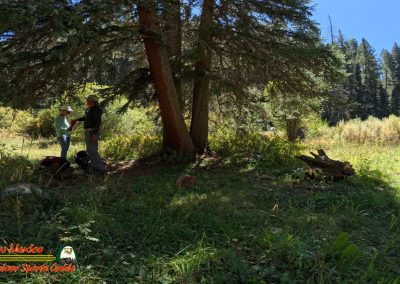 Hiking Hamilton Mesa Trail #249 with Paulette Insta360 Ace Pro