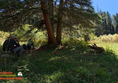 Hiking Hamilton Mesa Trail #249 with Paulette Insta360 Ace Pro