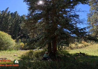 Hiking Hamilton Mesa Trail #249 with Paulette Insta360 Ace Pro