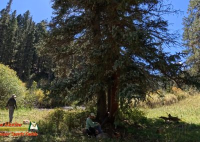 Hiking Hamilton Mesa Trail #249 with Paulette Insta360 Ace Pro