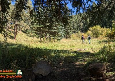 Hiking Hamilton Mesa Trail #249 with Paulette Insta360 Ace Pro