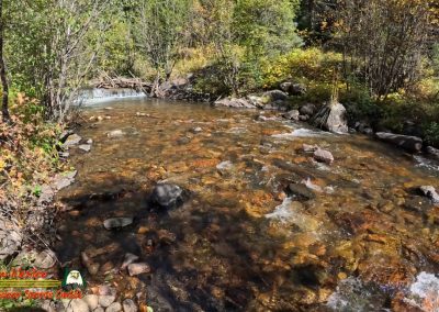 Hiking Hamilton Mesa Trail #249 with Paulette Insta360 Ace Pro