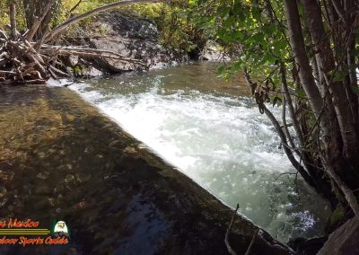 Hiking Hamilton Mesa Trail #249 with Paulette Insta360 Ace Pro
