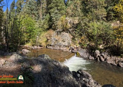 Hiking Hamilton Mesa Trail #249 with Paulette Insta360 Ace Pro