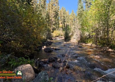 Hiking Hamilton Mesa Trail #249 with Paulette Insta360 Ace Pro