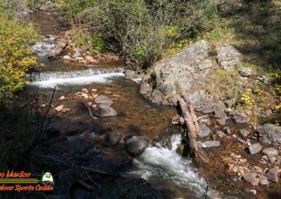 Hiking Hamilton Mesa Trail #249 with Paulette Insta360 Ace Pro