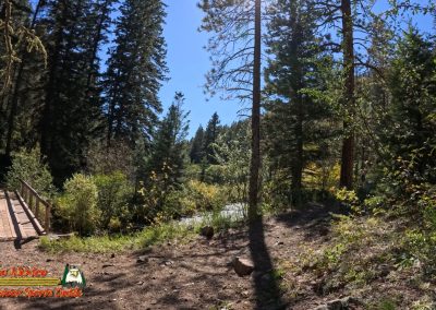 Hiking Hamilton Mesa Trail #249 with Paulette Insta360 Ace Pro