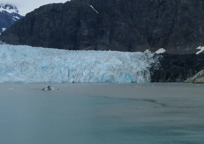 Glacier Bay Alaska Norwegian Encore FZ2500