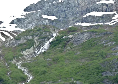 Glacier Bay Alaska Norwegian Encore FZ2500