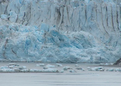 Glacier Bay Alaska Norwegian Encore FZ2500