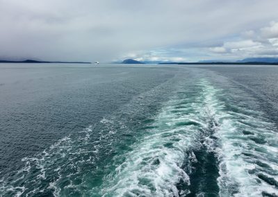 Glacier Bay Alaska Norwegian Encore Pocket 3