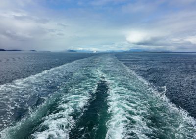 Glacier Bay Alaska Norwegian Encore Pocket 3