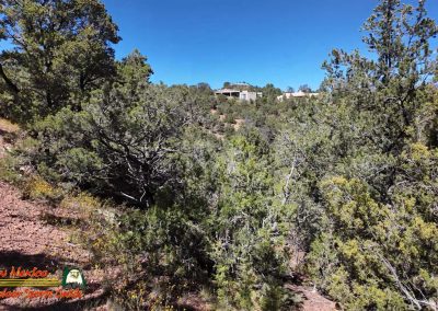 Sierra del Norte Dale Ball Trail Santa Fe 09-18-2024 Pocket 3