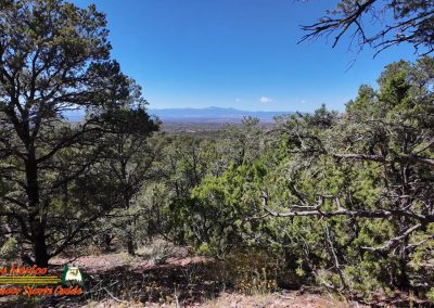 Sierra del Norte Dale Ball Trail Santa Fe 09-18-2024 Pocket 3