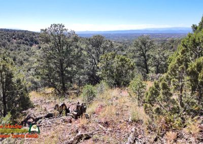Sierra del Norte Dale Ball Trail Santa Fe 09-18-2024 Pocket 3