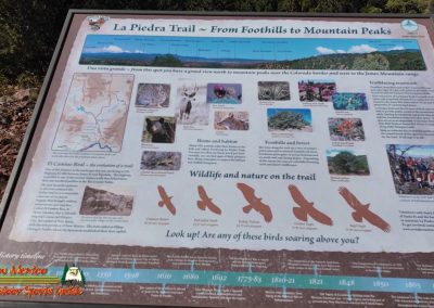 Sierra del Norte Dale Ball Trail Santa Fe 09-18-2024 Pocket 3