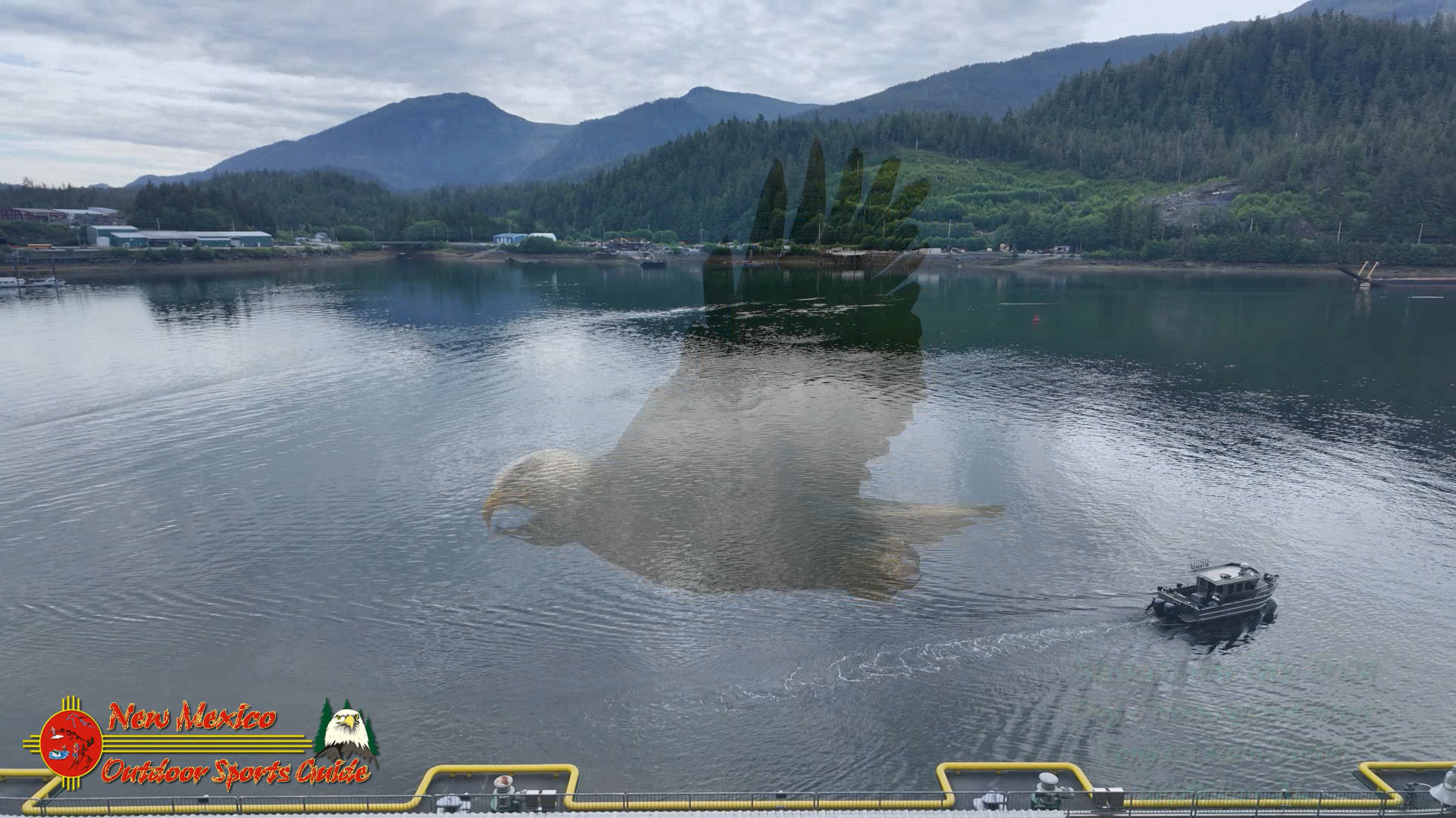 Ketchikan Alaska Tongass Rain Forest Pocket 3