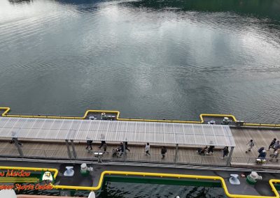 Ketchikan Alaska Tongass Rain Forest Pocket 3