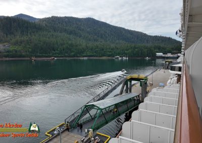 Ketchikan Alaska Tongass Rain Forest Pocket 3