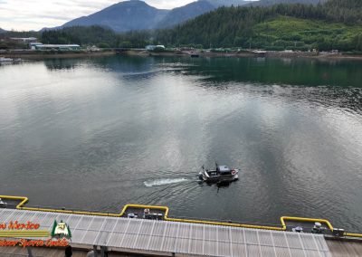 Ketchikan Alaska Tongass Rain Forest Pocket 3