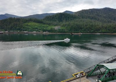 Ketchikan Alaska Tongass Rain Forest Pocket 3