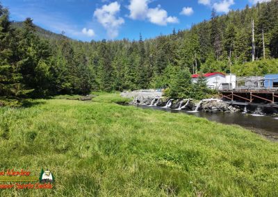 Ketchikan Alaska Tongass Rain Forest Pocket 3