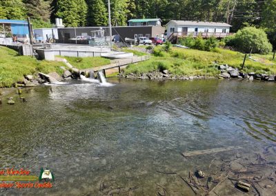 Ketchikan Alaska Tongass Rain Forest Pocket 3