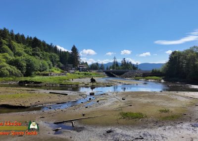 Ketchikan Alaska Tongass Rain Forest Pocket 3