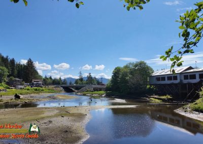Ketchikan Alaska Tongass Rain Forest Pocket 3