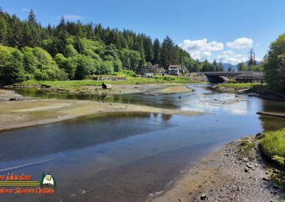 Ketchikan Alaska Tongass Rain Forest Pocket 3