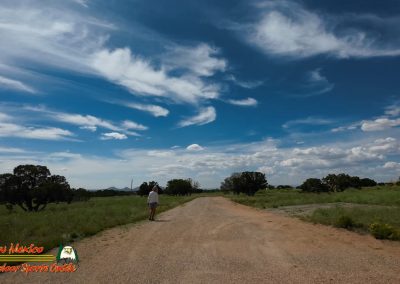Sky Railway Action 2