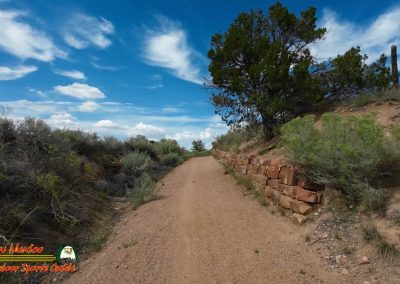 Sky Railway Action 2