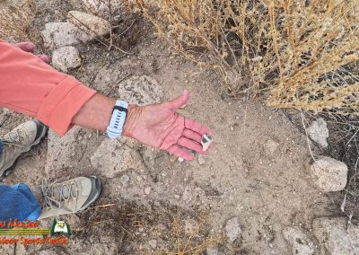 Tsankawi Pueblo Hiking Insta360 Ace Pro Paulette Sherds