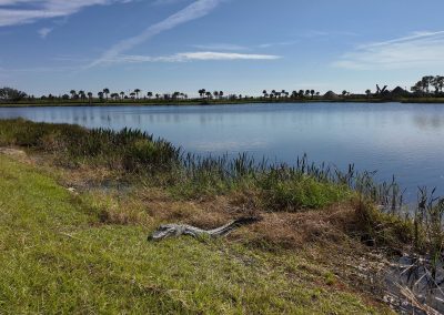 Thanksgiving 2024 Gator Pocket 3