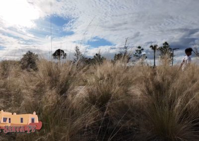 Thanksgiving 2024 Pocket 3