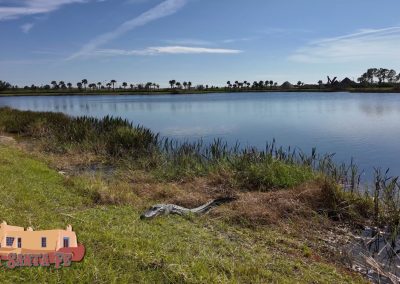 Thanksgiving 2024 Gator Pocket 3