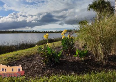 Thanksgiving 2024 Pocket 3