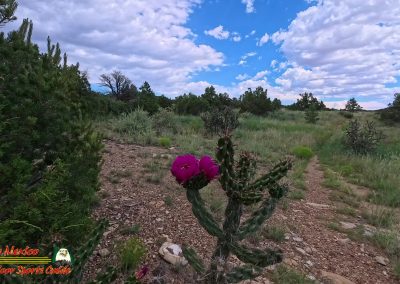 Hidden Canyon Trail 07-08-2025 Ace Pro 2