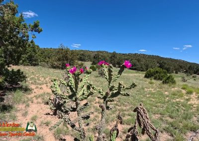 Hiking Eldorado at Santa Fe Community Preserve Trail 401 403 404 Ace Pro 2 07-04-2025