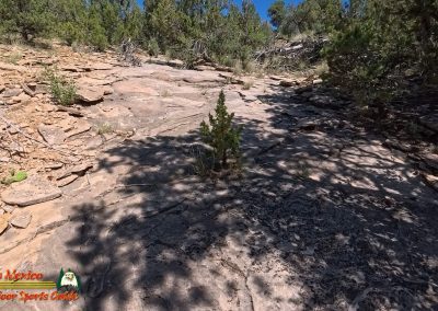 Hiking Eldorado at Santa Fe Community Preserve Trail 401 403 404 Ace Pro 2 07-04-2025