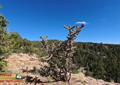 Hiking Eldorado at Santa Fe Community Preserve Trail 401 403 404 Ace Pro 2 07-04-2025