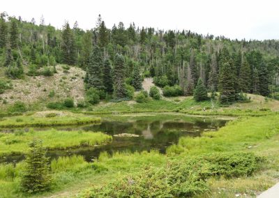 Upper Conjilon Lake 07-22-2025 FZ2500
