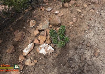 Hiking Arroyo Hondo Trail Action 4 08-15-2025