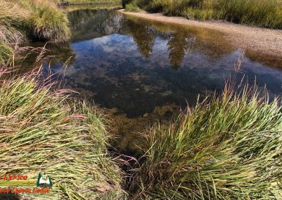 Colorado River Headwaters Rocky Mountain National Park Grand Lake Colorado 09-22-2025 Action 4