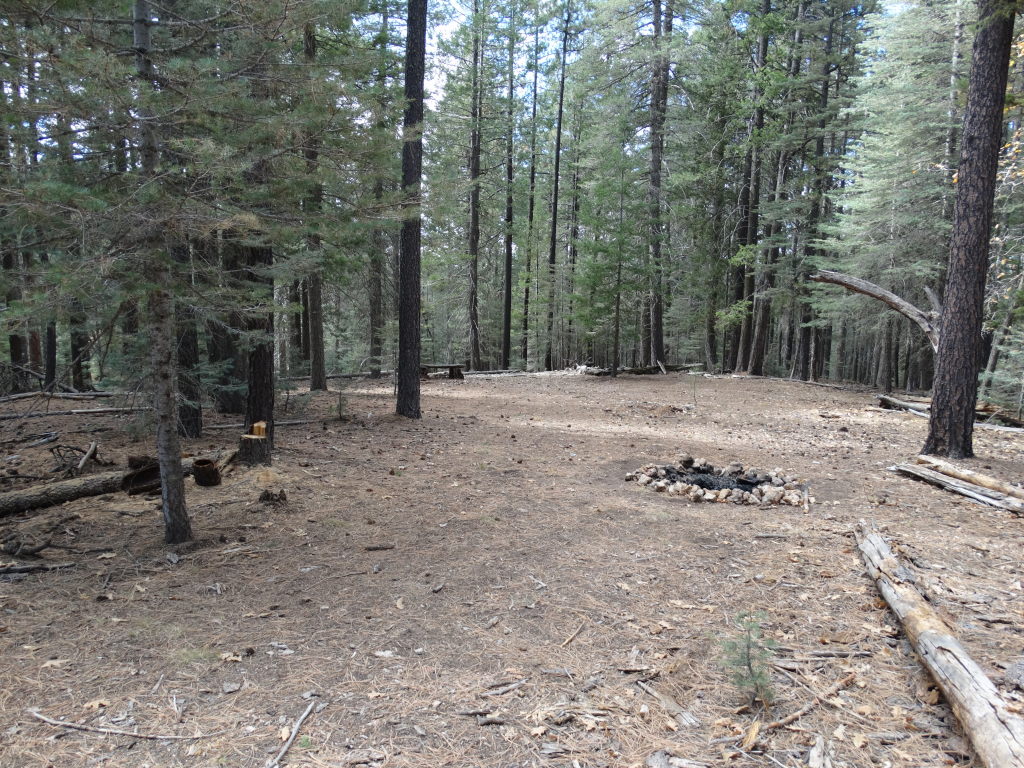 Dennis A McCarty and Lorena Black death site