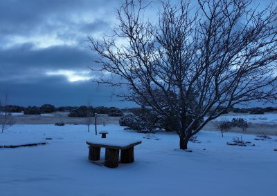 Casa Santa Fe Snowy Morning Pocket3 01-25-2026