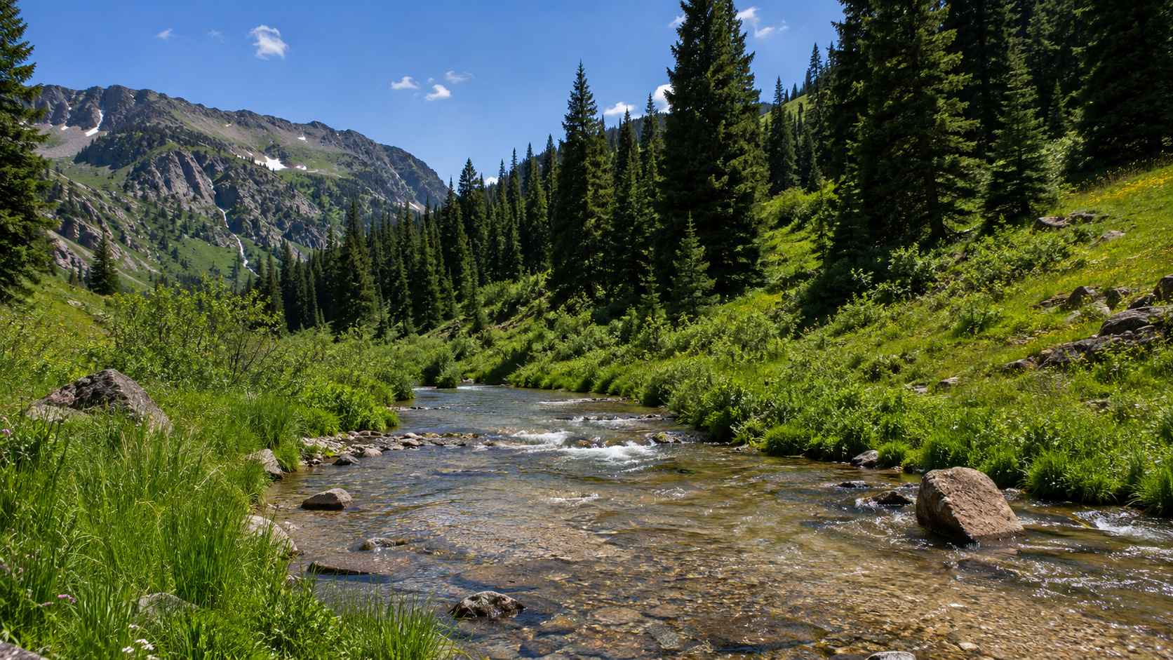 Upper Rio Chama
